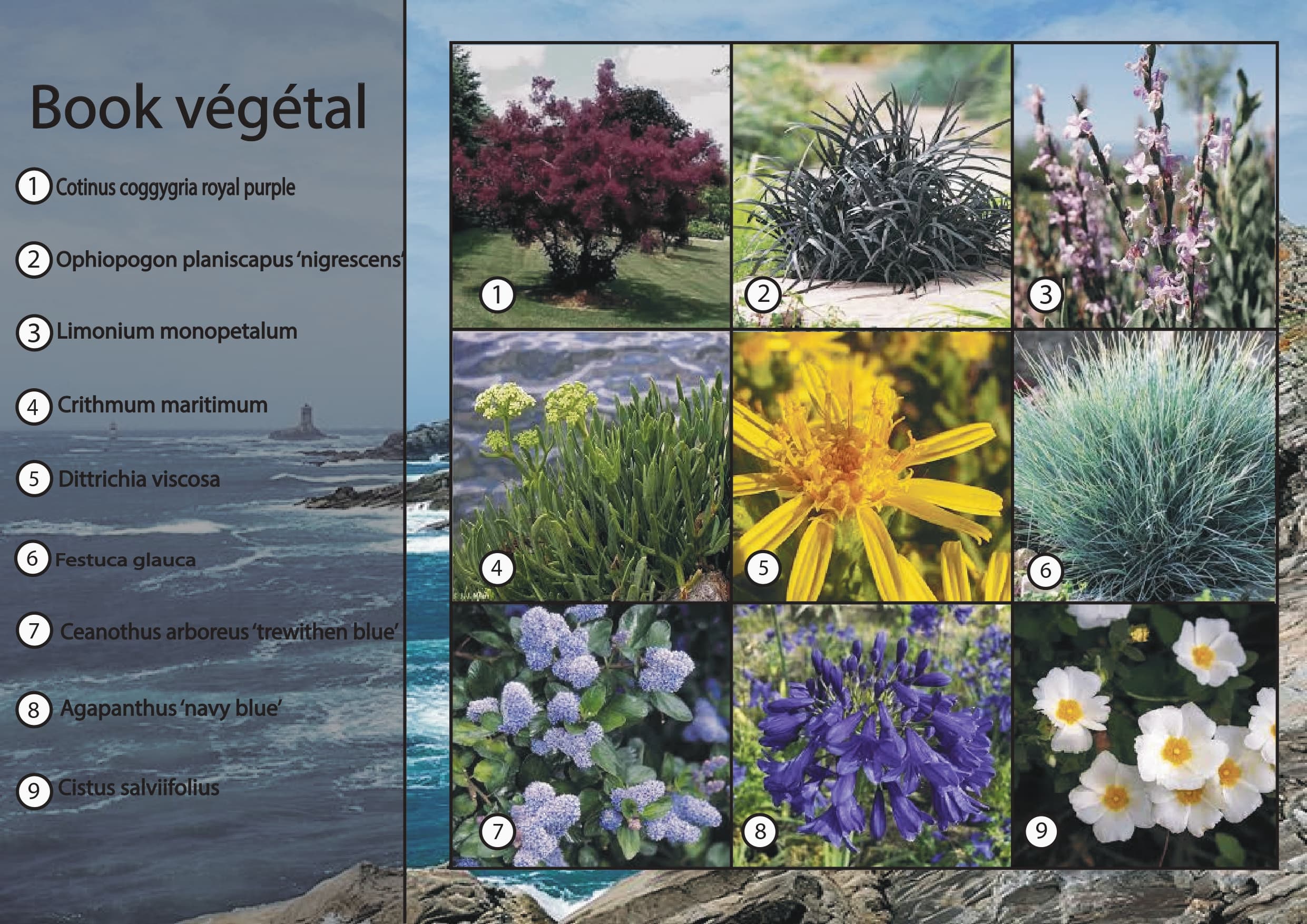 Book végétal du projet littoral